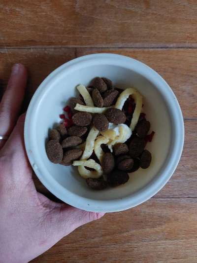 Zeigt her Eure Futternäpfe-Beitrag-Bild