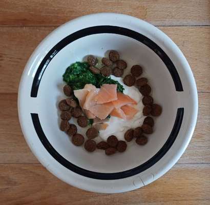 Zeigt her Eure Futternäpfe-Beitrag-Bild