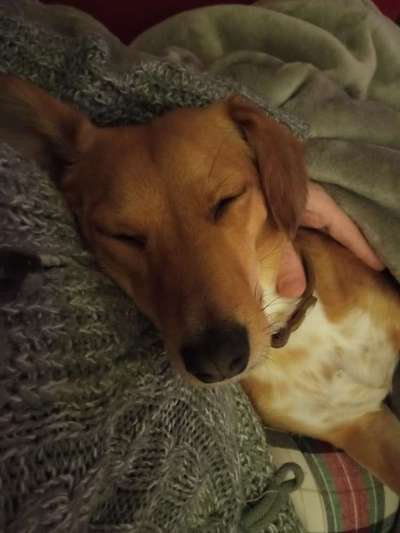 Blick fürs Detail!-Beitrag-Bild