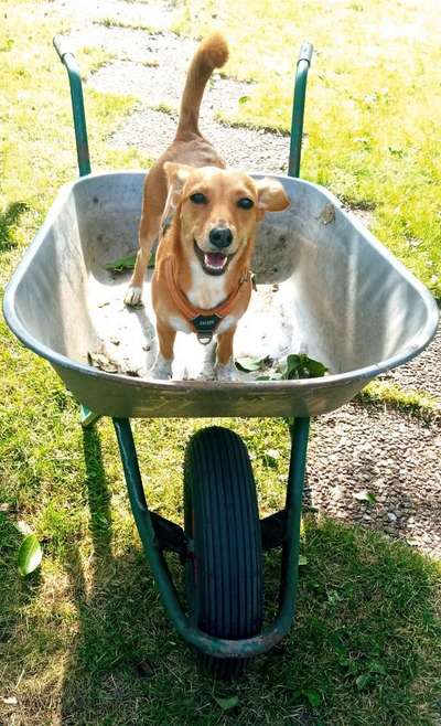 Fotochallenge Nr.105  Glücksmomente-Beitrag-Bild