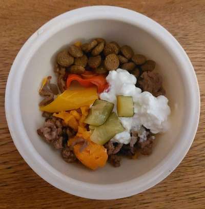 Zeigt her Eure Futternäpfe-Beitrag-Bild