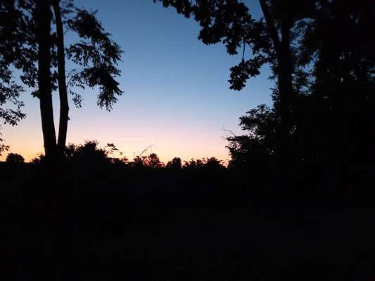 Die wunderschöne Welt mit Hund.-Beitrag-Bild