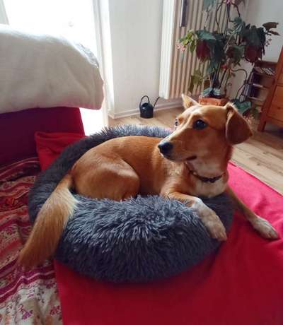 Erfahrung mit Wolkenbett-Beitrag-Bild