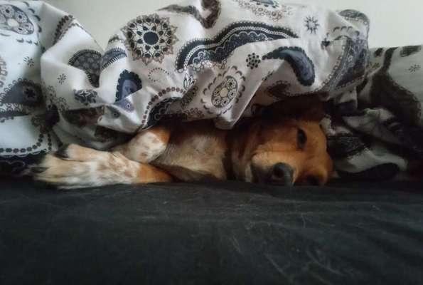 FOTO-Challenge  NR. 91: Die pure Entspannung-Beitrag-Bild