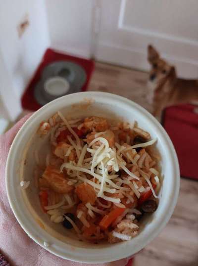 Zeigt her Eure Futternäpfe-Beitrag-Bild