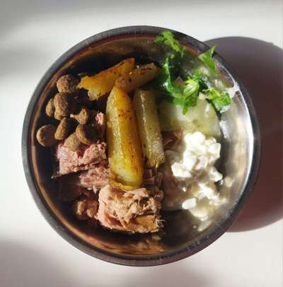 Zeigt her Eure Futternäpfe-Beitrag-Bild