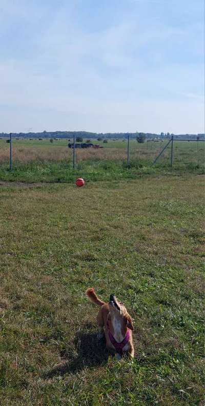 65. Handy Foto Challange                     "Ich kann nicht ohne..."-Beitrag-Bild