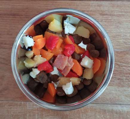 Zeigt her Eure Futternäpfe-Beitrag-Bild