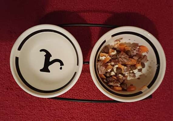 Zeigt her Eure Futternäpfe-Beitrag-Bild