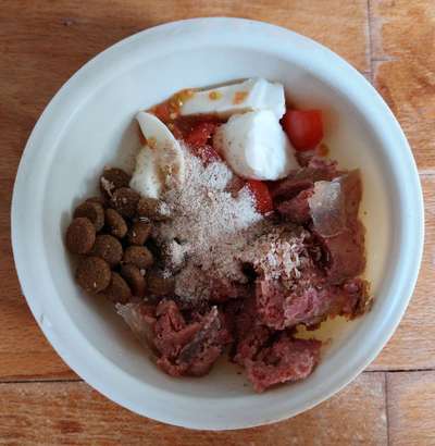 Zeigt her Eure Futternäpfe-Beitrag-Bild