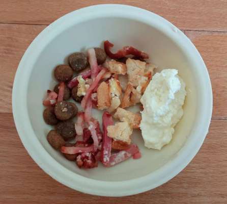 Zeigt her Eure Futternäpfe-Beitrag-Bild