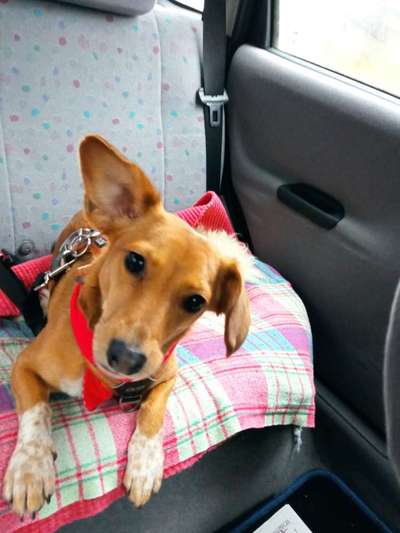 117. Fotochallenge-Beitrag-Bild