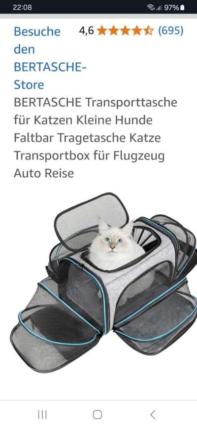 Reisetasche für Boston Terrier (8kg)-Beitrag-Bild