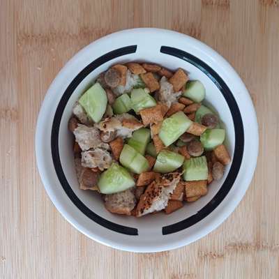 Zeigt her Eure Futternäpfe-Beitrag-Bild