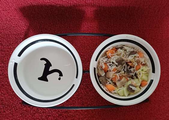 Zeigt her Eure Futternäpfe-Beitrag-Bild