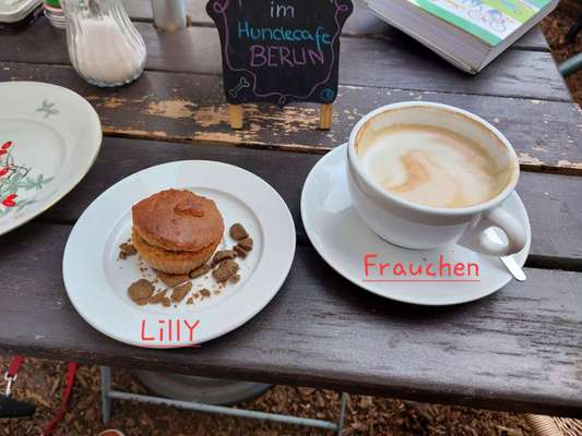 Zeigt her Eure Futternäpfe-Beitrag-Bild