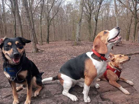 Handy-Foto-Challange Nr. 8-Beitrag-Bild