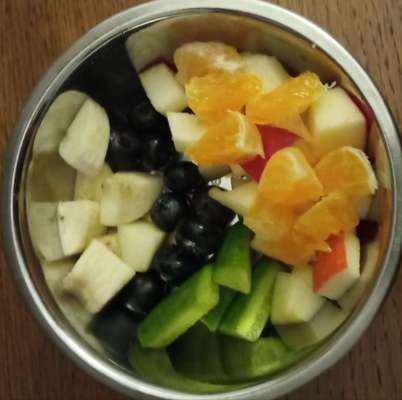 Zeigt her Eure Futternäpfe-Beitrag-Bild