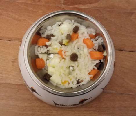 Zeigt her Eure Futternäpfe-Beitrag-Bild