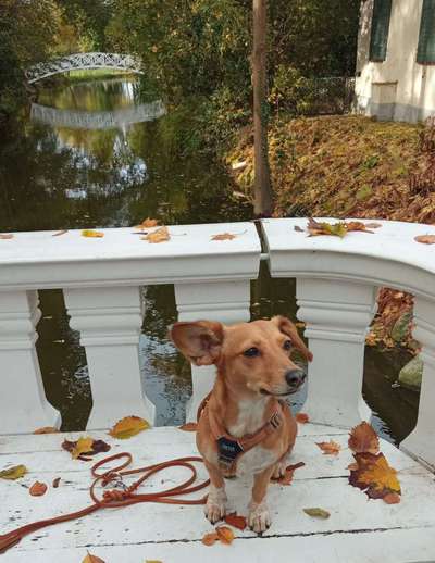 Pause an der Bank-Beitrag-Bild