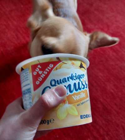 Zeigt her Eure Futternäpfe-Beitrag-Bild