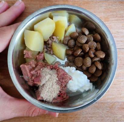 Zeigt her Eure Futternäpfe-Beitrag-Bild