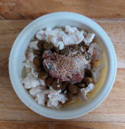 Zeigt her Eure Futternäpfe-Beitrag-Bild