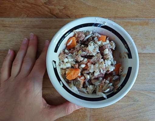 Zeigt her Eure Futternäpfe-Beitrag-Bild