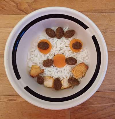 Zeigt her Eure Futternäpfe-Beitrag-Bild