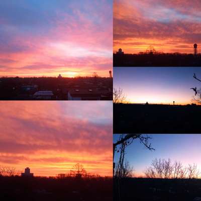 Die wunderschöne Welt mit Hund.-Beitrag-Bild