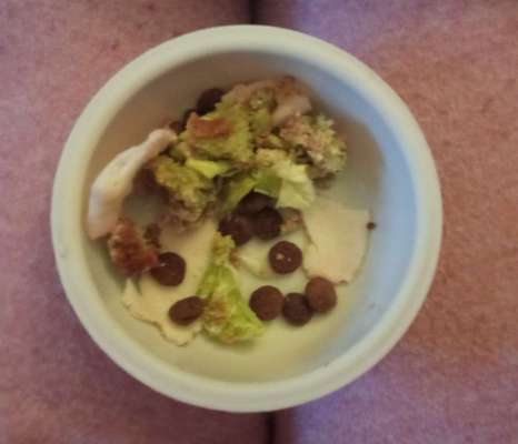 Zeigt her Eure Futternäpfe-Beitrag-Bild