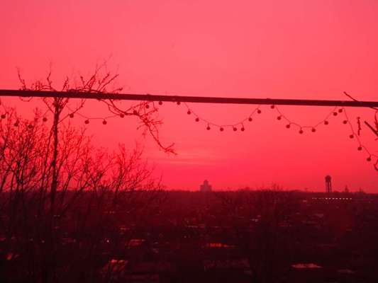 Die wunderschöne Welt mit Hund.-Beitrag-Bild