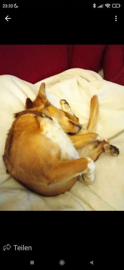 Lustige Grimassen & verrückte Posen-Beitrag-Bild