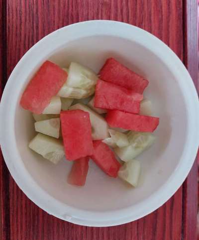 Zeigt her Eure Futternäpfe-Beitrag-Bild