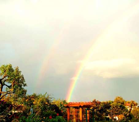 Die wunderschöne Welt mit Hund.-Beitrag-Bild