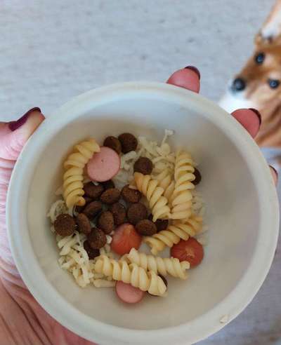 Zeigt her Eure Futternäpfe-Beitrag-Bild