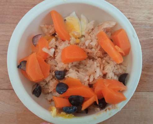 Zeigt her Eure Futternäpfe-Beitrag-Bild