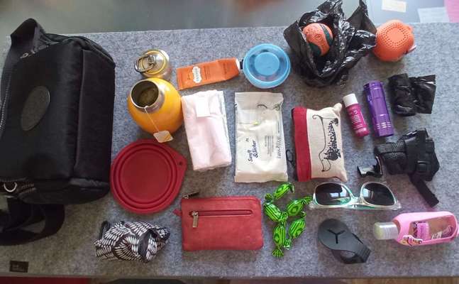 Leckerlie Tasche-Beitrag-Bild