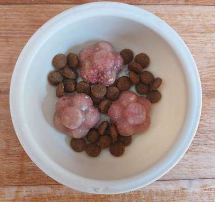 Zeigt her Eure Futternäpfe-Beitrag-Bild