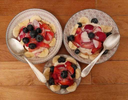 Zeigt her Eure Futternäpfe-Beitrag-Bild