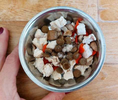 Zeigt her Eure Futternäpfe-Beitrag-Bild