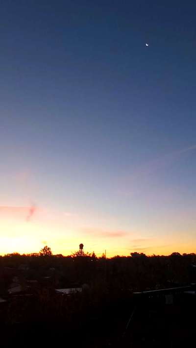 Die wunderschöne Welt mit Hund.-Beitrag-Bild