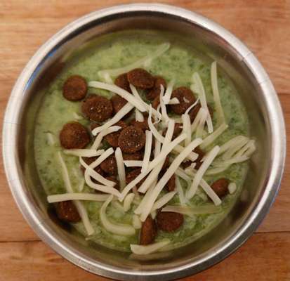 Zeigt her Eure Futternäpfe-Beitrag-Bild