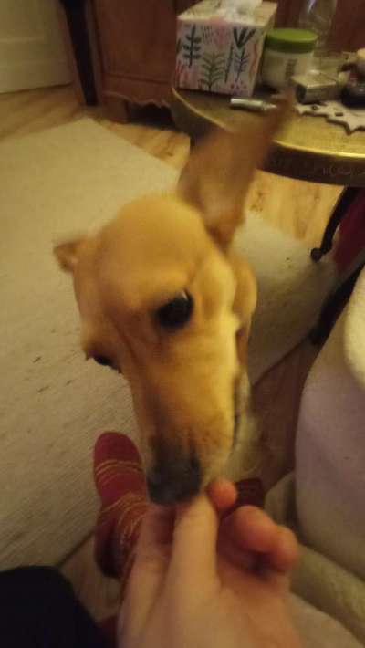 Zeigt her Eure Futternäpfe-Beitrag-Bild