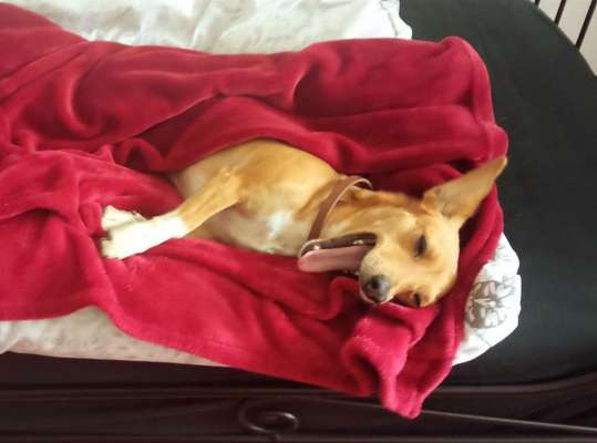 Relaxen im bett-Beitrag-Bild