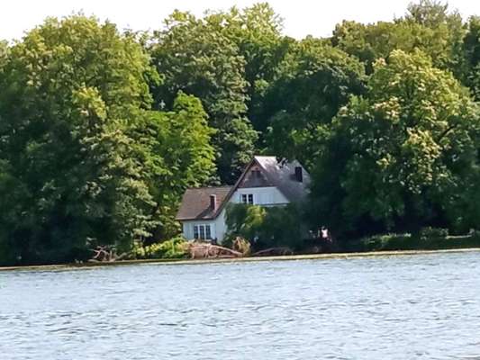 Die wunderschöne Welt mit Hund.-Beitrag-Bild