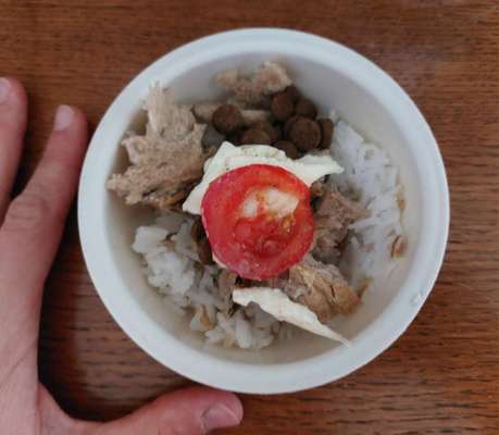 Zeigt her Eure Futternäpfe-Beitrag-Bild