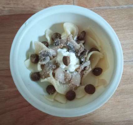 Zeigt her Eure Futternäpfe-Beitrag-Bild