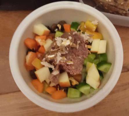 Zeigt her Eure Futternäpfe-Beitrag-Bild