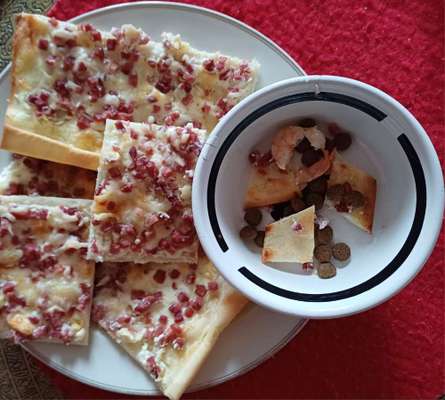 Zeigt her Eure Futternäpfe-Beitrag-Bild